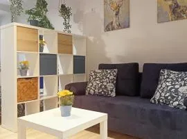 Apartament Granatowy Świętoduska 12