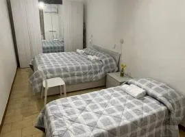 Lila House