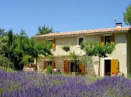 Gîte St Roch en Luberon