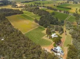 Island Brook Estate Vineyard and Chalets