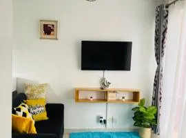 Lynne’s Cozy studio