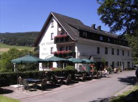 Cafe-Pension Waldesruh, hotel en Willingen