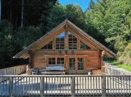 Schwarzwald Blockhaus Flößerhaus - Kaminofen, Sauna