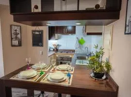 Departamento Temuco Centro