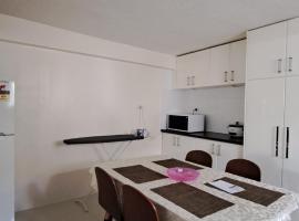 Mead Road Homestay Tours &Transfers Deluxe Flat 1 Bedroom, hotell i Suva