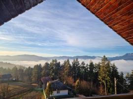 Pensiunea Ioana, hotel a Rugineşti