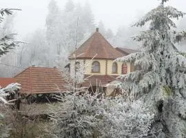 Ворота Карпат