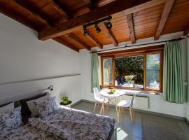 론코 소프라 아스코나에 위치한 코티지 Rustico al Sole - Just renewed 1bedroom home in Ronco sopra Ascona