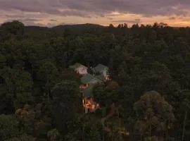 The Woods Resorts Wayanad