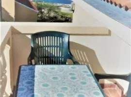 Apartments Sakarun Soline