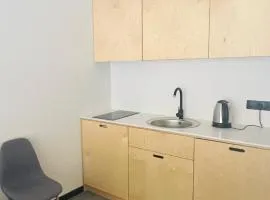 Apartment in Kokhta-Mitarbi Resort, Bakuriani