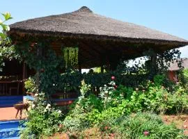 Red Earth Kabini