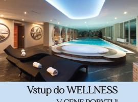 Wellness Hotel Vinnay, hotel en Vinné