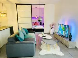 Appartement atypique : Le Puits