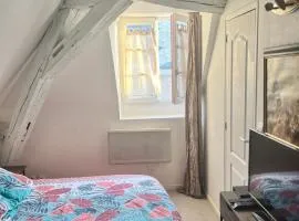 LE PACIFIC - Appartement spacieux centre ville