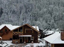 Сімейний котедж У Діани, apartment in Tatariv