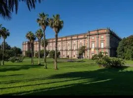 G&G Capodimonte