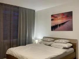 Blue Sky Apartment