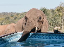 Isambane Camp, hotel in Balule Game Reserve