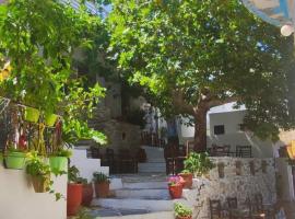 Fasolas square studio 15m2 is located 30 stairs up from the main road and it is in the old market fasolas and next to the museums, holiday rental in Filótion