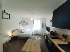 Annecy vieille ville, superbe appartement au calme