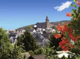 Berghotel Steiger - Erzgebirge