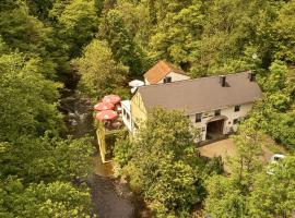 Ferienwohnung "Alte Pleiner Mühle", viešbutis mieste Pleinas