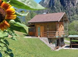Maso Brunetto, holiday rental in Canale San Bovo