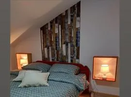 Apartmani S - DSN