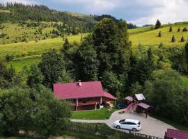 Котедж в Карпатах, hotel in Huklyvyy