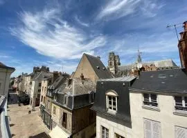 Orléans Centre Historique - Bourgogne/Cathédrale
