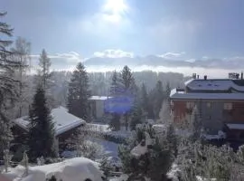 Apartment Monte Cristo 6 by Interhome