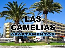 Las Camelias Apartments