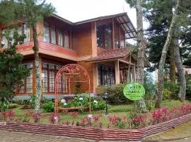Villa Tulip