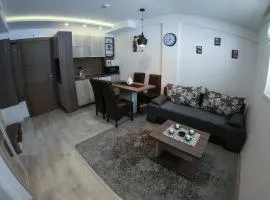 Apartmani Leki
