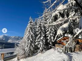 Cabanele silvania 1, hotel v destinaci Statjunea Borsa
