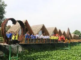Coco Island Cồn Phụng