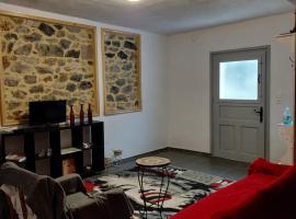 Simbas House，利昂尼迪翁的飯店