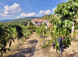 Appartamento Dolcetto in Cascina Marenco Langhe Country House，Cessole的飯店