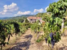 Appartamento Dolcetto in Cascina Marenco Langhe Country House