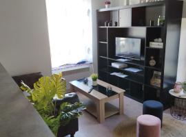 Disney Appartement, apartment in Quincy-Voisins