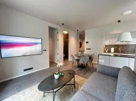 Modern Apt in Central Reykjavík