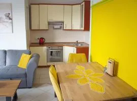 Yellow dream apartment