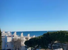 Etoile dorée, vue mer, plage, clim, commerces, 3 étoiles