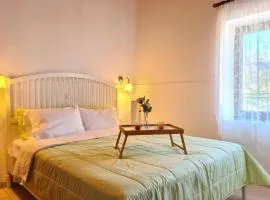 Enastron vacation house