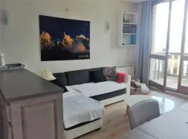 Appart Duplex 8 pers avec Terrasse à Pra-Loup - FR-1-165A-170
