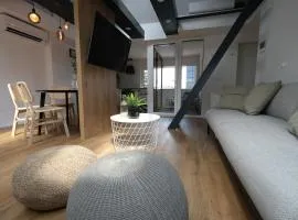 Apartments Emona FREE Parking & gym