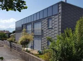 Wohnung Rheintal im Alpenvorland