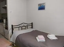 Mini home