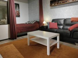 Rauhallinen upea yksi&ouml; keskustassa omalla autopaikalla